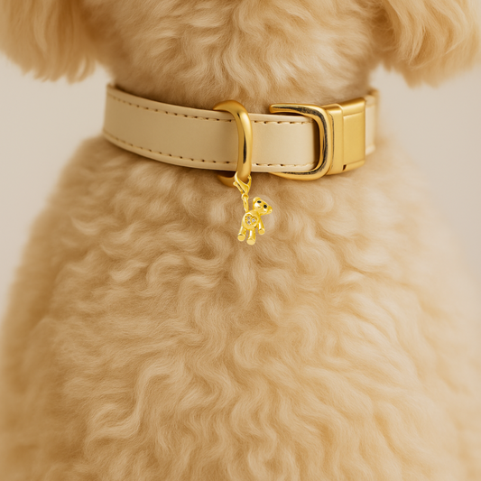 Teddy Bear CZ Pet Collar Charm