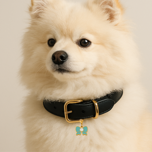 Tiffany Blue Bow Pet Charm